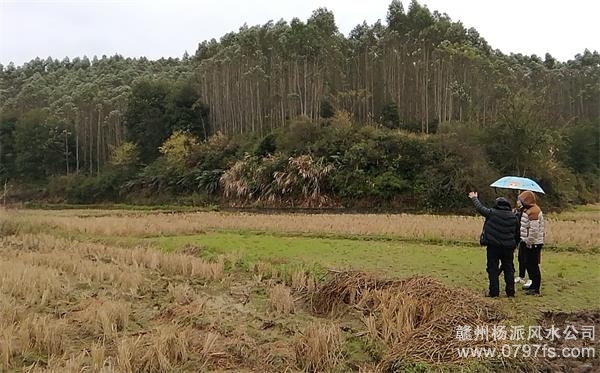 韶关市陈老师带着爱徒寻龙点穴